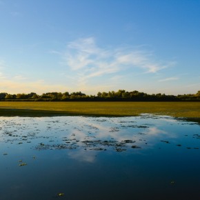 Párbeszéd a Tisza-tó fejlesztéséért