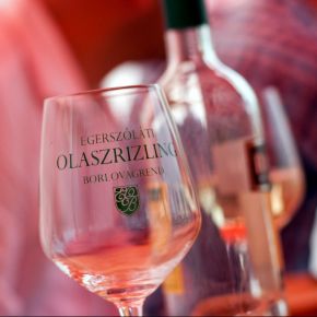 Kiváló borok a XIX. Egerszóláti Olaszrizling Fesztiválon