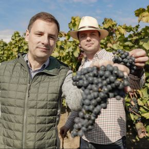 A kormány támogatja a minőségi bortermelést