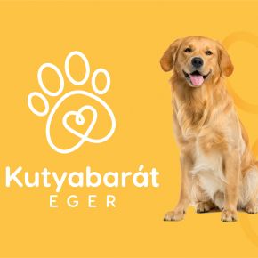 Kutyabarát Város Programot indított Eger