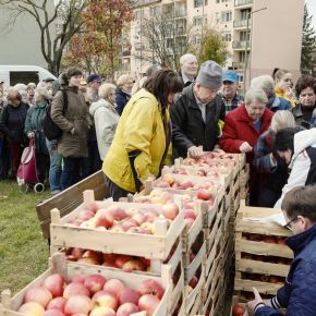 Almát osztott Egerben a Fidesz frakció